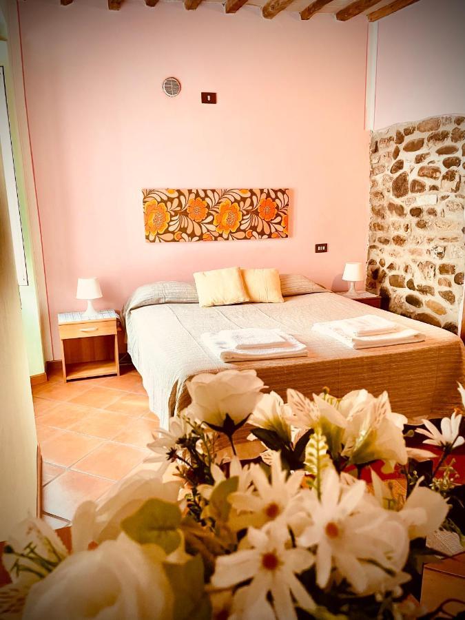 Hotel In Castello Gallicano Exterior foto